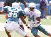 preseasonminor.jpg (9345 bytes)